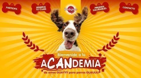 la-acandemia