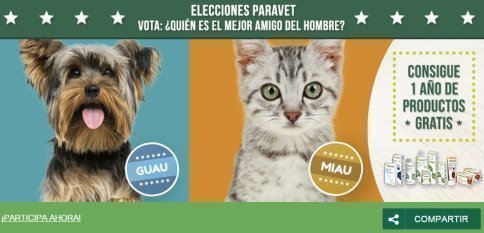 sorteo-de-un-ano-de-productos-para-perros