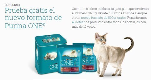 sorteo-purina-one
