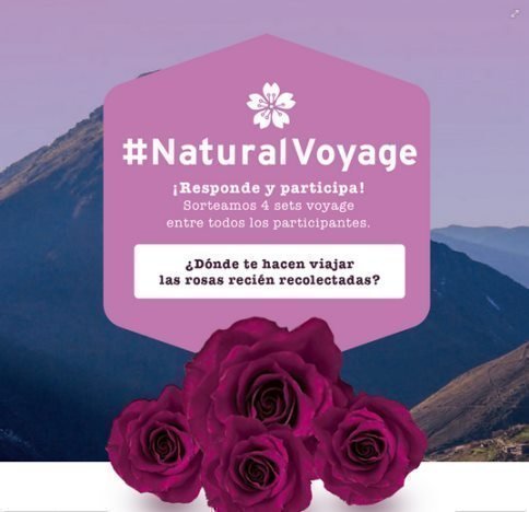 Sorteo Gratos de fragancia en The Body Shop