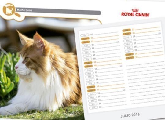 calendario-grats-royal-canin