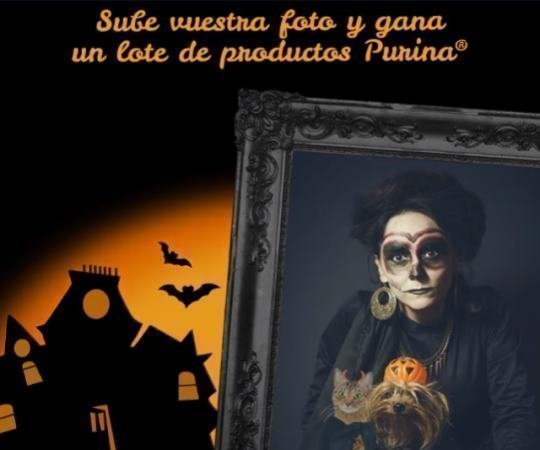 sorteo-purina-halloween