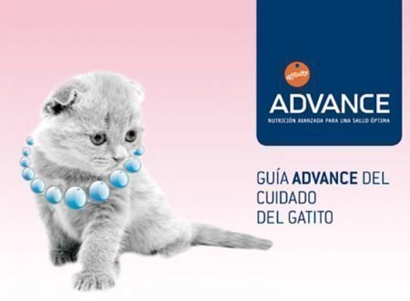 Guia Gratis Affinity Advance