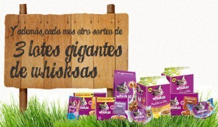 Sorteo Whiskas