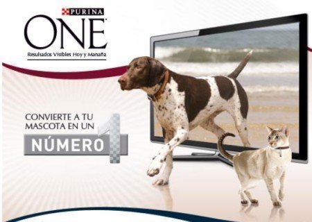 concurso-purina-one
