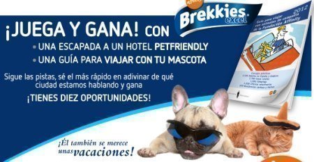 Sorteo de Brekkies Excel