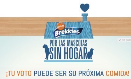 Sorteo Brekkies