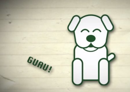 sorteo mascotas