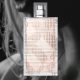 Muestra gratis de perfume Burberry