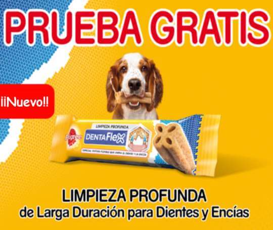 muestras-gratis-dentaflex