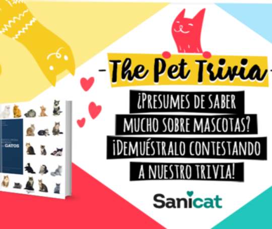 promocion-de-sanicat