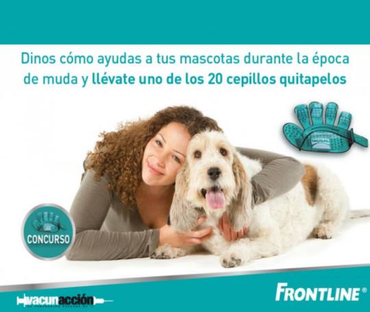 sorteo-de-frontline