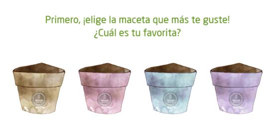 muestra-gratuita-de-weleda