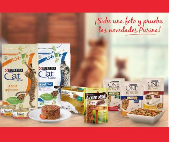 purina-cat-sorteo