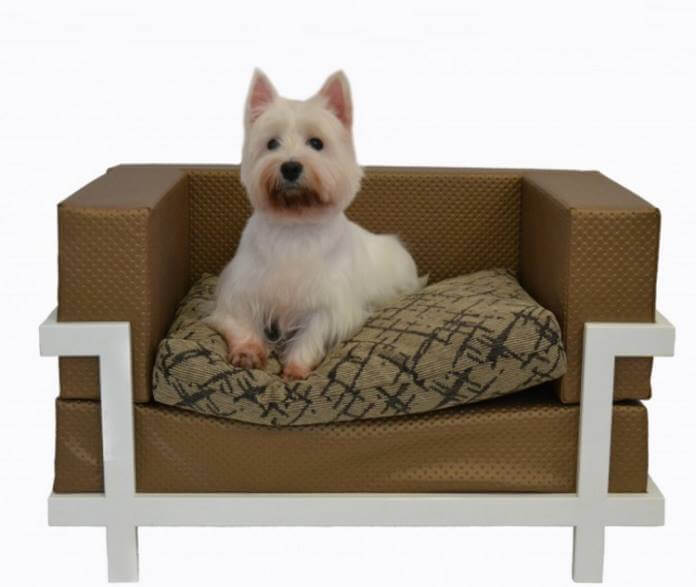 Gana un sofá estilo Viena para tu mascota!! Regalos y Muestras gratis