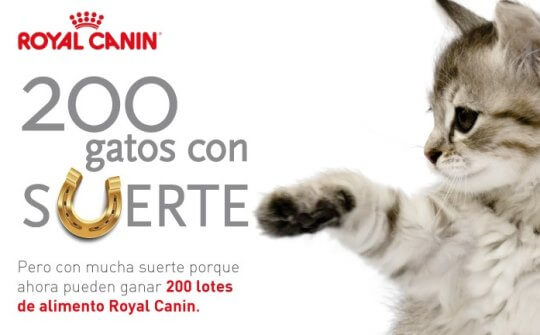 sorteo-gratuito-de-royal-canin