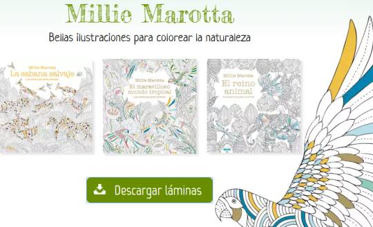 sorteo-millie-marotta