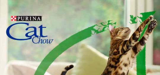cat-chow-muestras-gratis