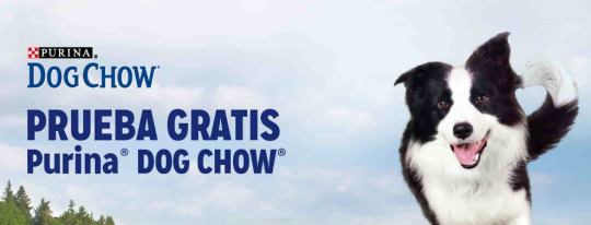 prueba-gratis-purina-dog-chow