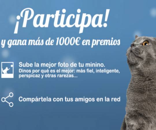 promocion-de-royal-canin