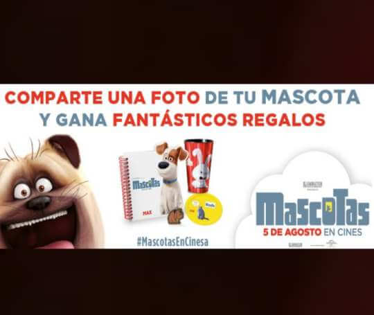 promocion-mascotas