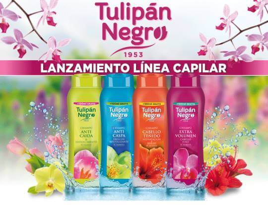 promocion-tulipan-negro