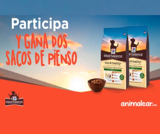 sorteo-animalear