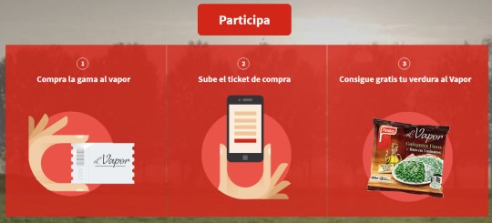 prueba-gratis-findus