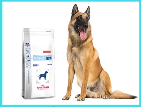 prueba-gratis-pienso-royal-canin