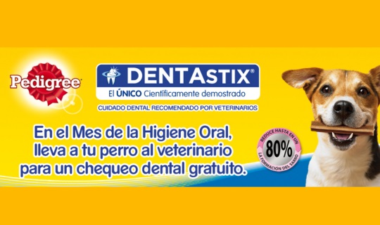 revision-gratuita-dentastix