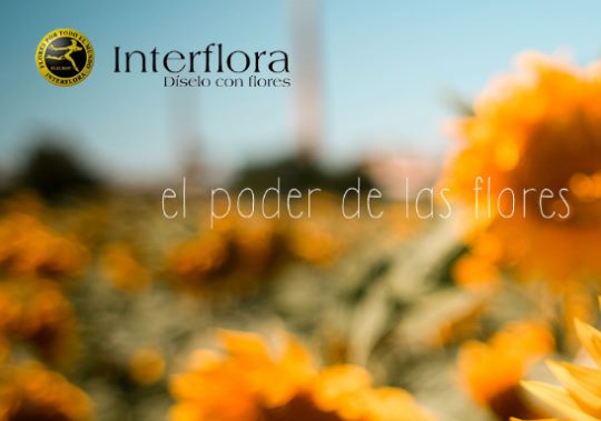 sorteo-dia-internacional-de-las-personas-de-edad