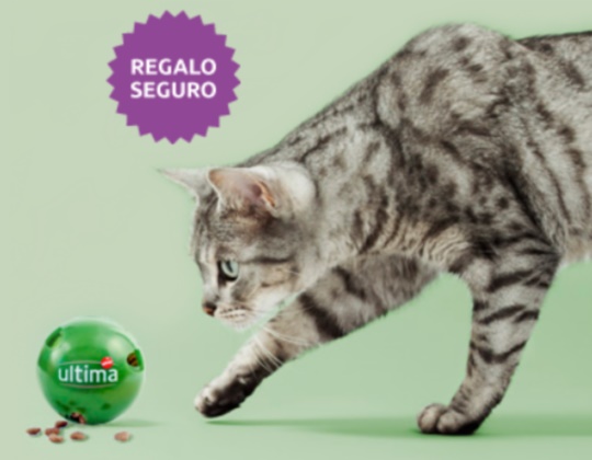 muestras-gratis-de-activity-balls