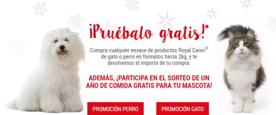 muestras-de-royal-canin