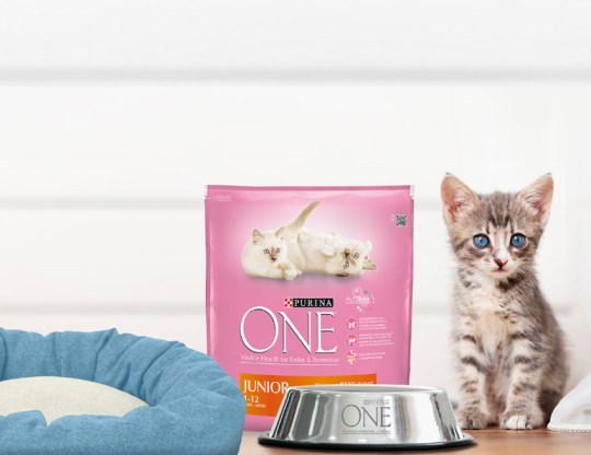 purina-one