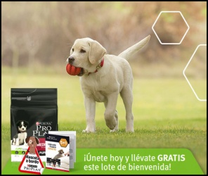 lote-bienvenida-uniendote-a-club-proplan