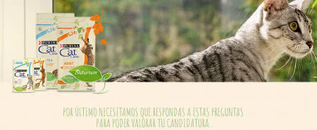 150-embajadores-purina-cat-chow-apuntarse