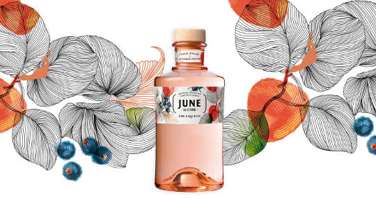 trnd-proyecto-junetonic