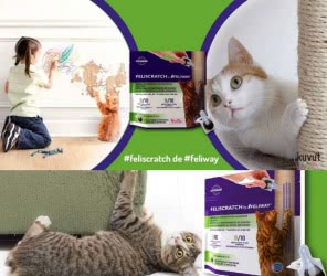 reembolso-50-por-ciento-feliscratch-feliway-kuvut