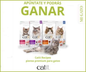Sorteo Catit Recipes