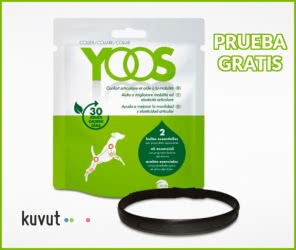 kuvut-collar-yoos-para-perros-prueba-gratis