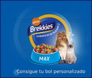 brekkies-bol-personalizado-para-primeros