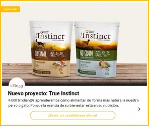 trnd-proyecto-true-instinct-4000-testers