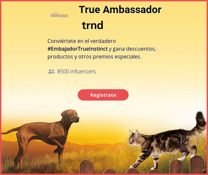 8500-testers-true-ambassador-true-instinct