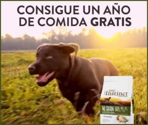 true-instinct-sorteo-un-ano-comida-gratis