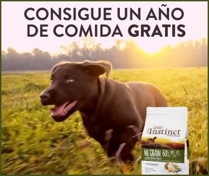 true-instinct-sorteo-un-ano-comida-gratis