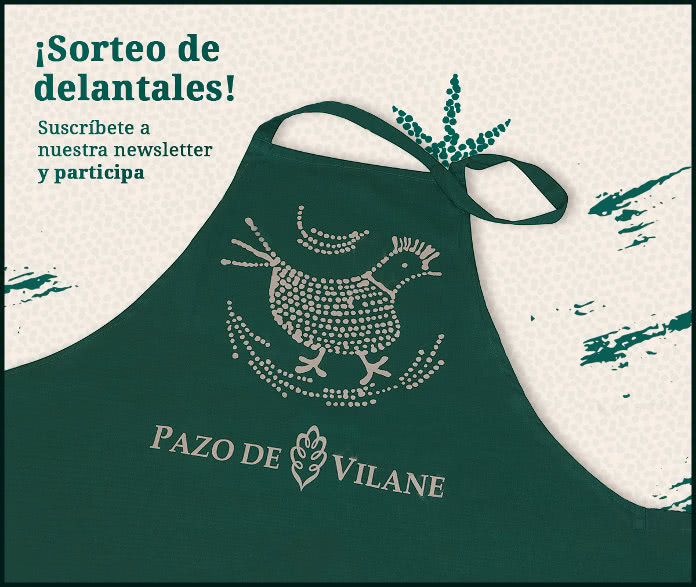 pazo-de-vilane-sorteo-25-delantales