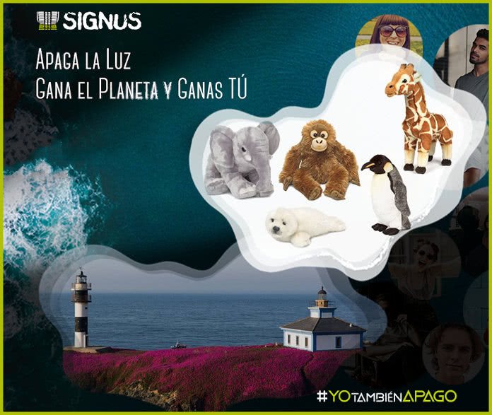 signus-sorteo-12-peluches