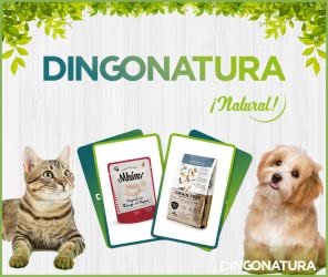 sorteo-dingonatura-tres-meses-alimentacion