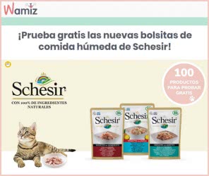 schesir-busca-100-gatos-testers