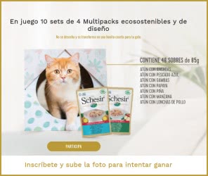 schesir-sorteo-10-lotes